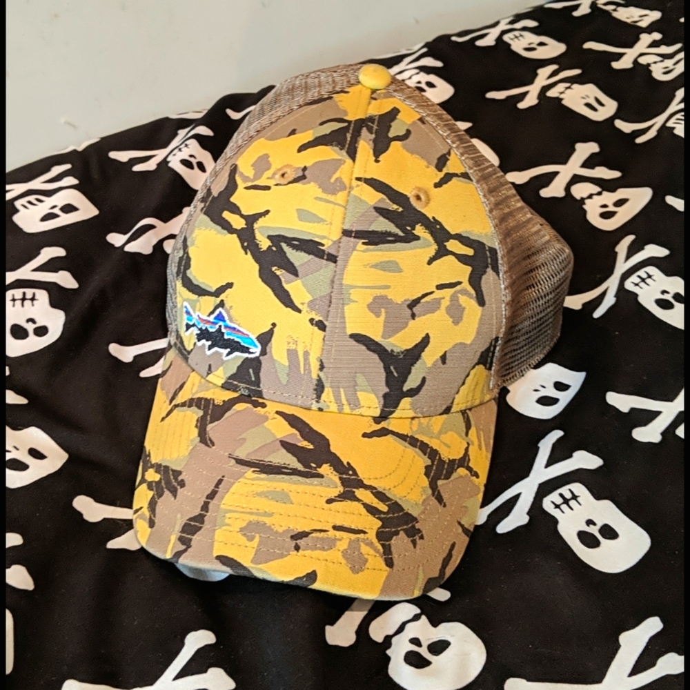 Patagonia Fitz Roy Hat